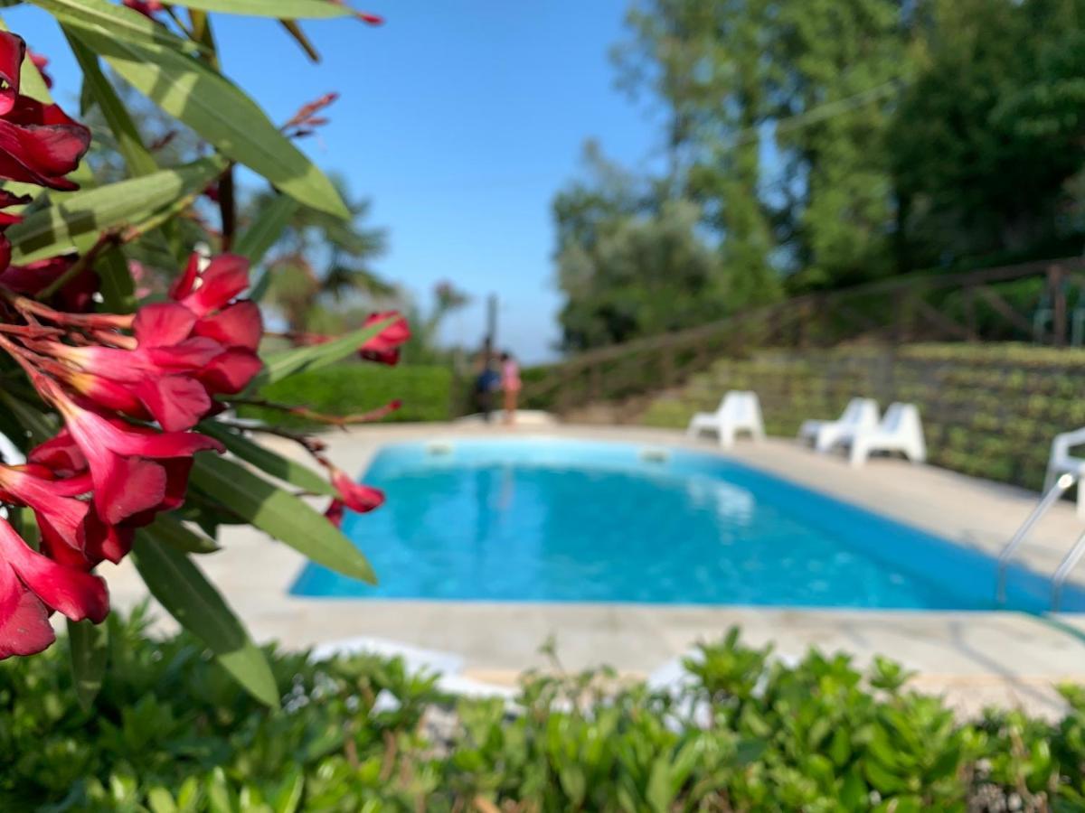 Massignano Chiaraluce Country House מראה חיצוני תמונה